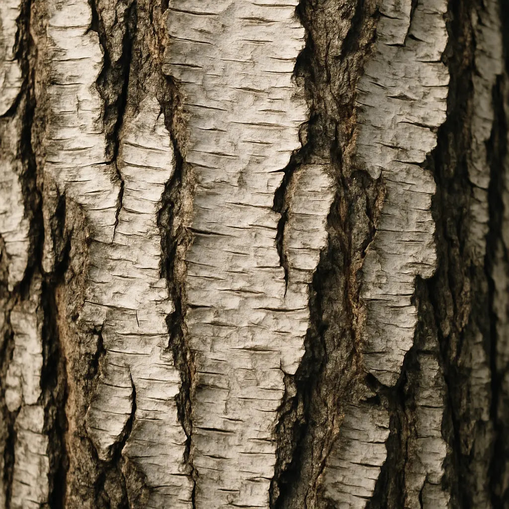 Ralight scented candle wood wick misty white wood